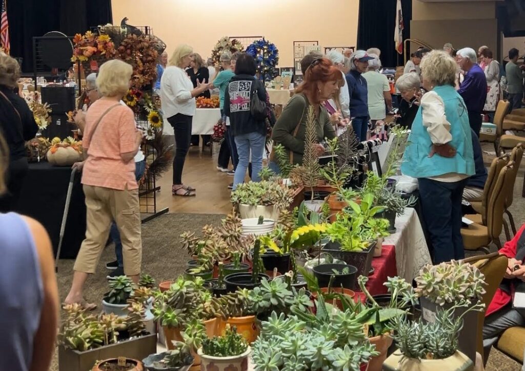 ohcc-craft-faire
