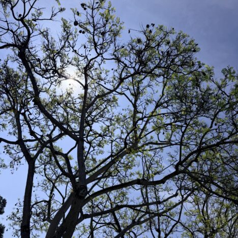 Why the Ocean Hills Real Estate Market Plays by Its Own Rules