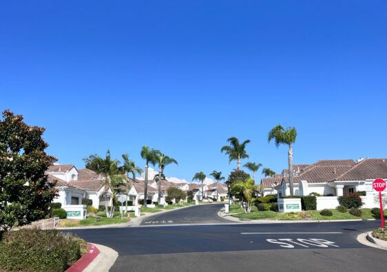 Suburban street in a sunny neighborhood with white houses, palm trees, green lawns, and a Stop sign by the curb under a clear blue sky.