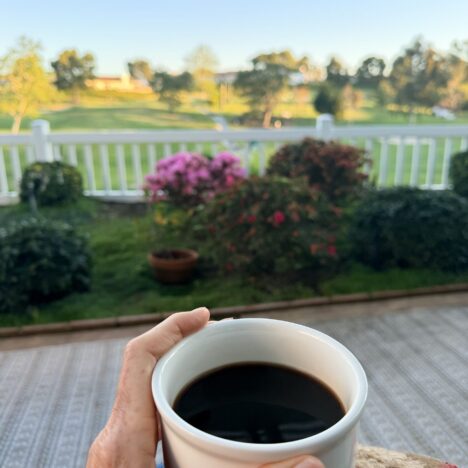 No, Ocean Hills Country Club Isn’t an Old Folks Home